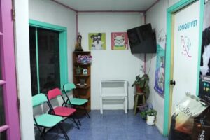 Lonquivet Consulta Veterinaria