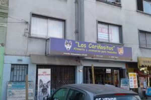 Los cari&ntilde;ositos