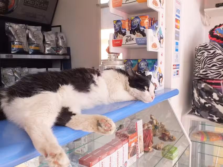 Los Olivos Cl&iacute;nica & Farmacia