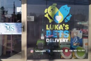 Lukas pets