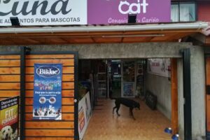 Luna Pet Shop