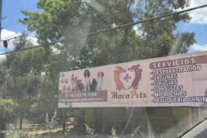 Macapets Curic&oacute;