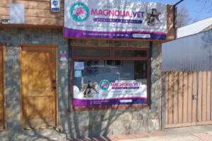 Magnolia.vet