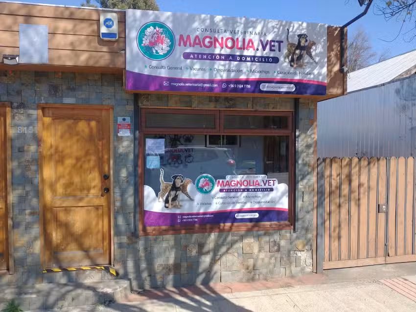 Magnolia.vet