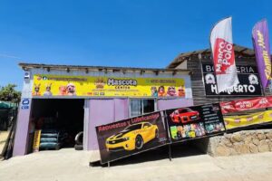 Mascota Center – Alimento para Mascotas