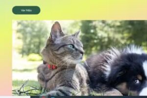 mascota chic .amores eternos