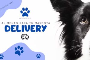 Mascotalca Delivery