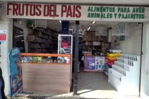 Mascotamigos y Frutos del País