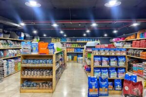 Mascotas Aconcagua 2