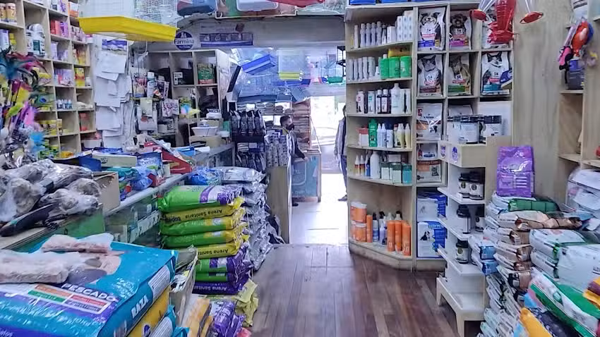 Mascotas Villa Alemana