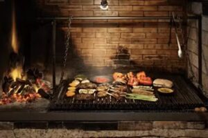 MASCOTAS Y BRASAS – (Carbón de Espino y Alimento para Mascotas)