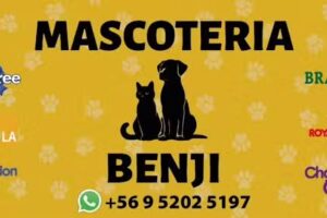 MASCOTERIA BENJI