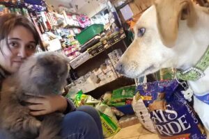 Mascoteria Portafortuna