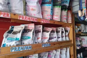 Maske Mascotas Conchal&iacute;