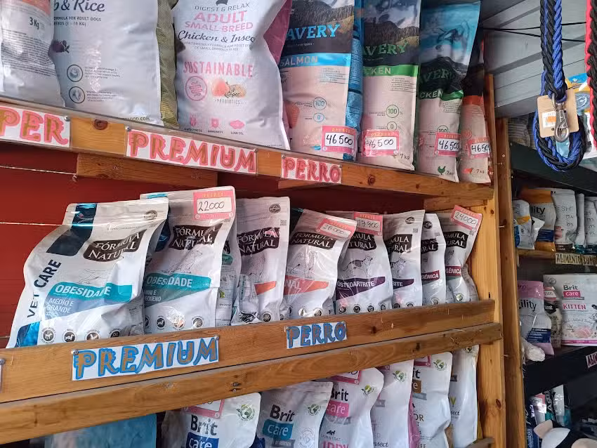 Maske Mascotas Conchal&iacute;