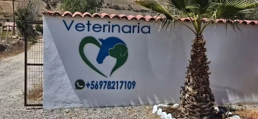 Mat&iacute;as Toro &ndash; Veterinario Vicu&ntilde;a