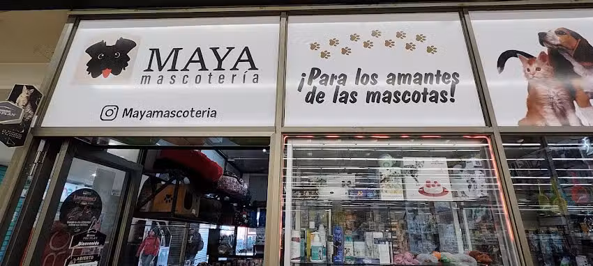 Maya Mascoter&iacute;a