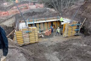 medico veterinario natalia Oyarzún manrriquez