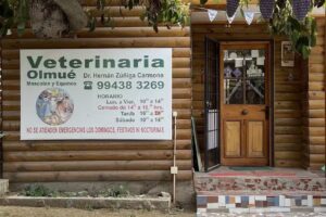 M&eacute;dicos Veterinarios