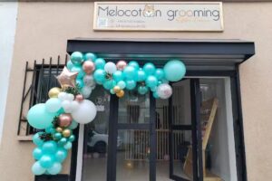 Melocot&oacute;n Grooming