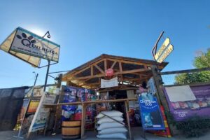 MINIMARKET QUILHUICA Y ALIMENTOS PARA MASCOTAS