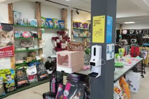 Mininos y mas &ndash; punto blue express