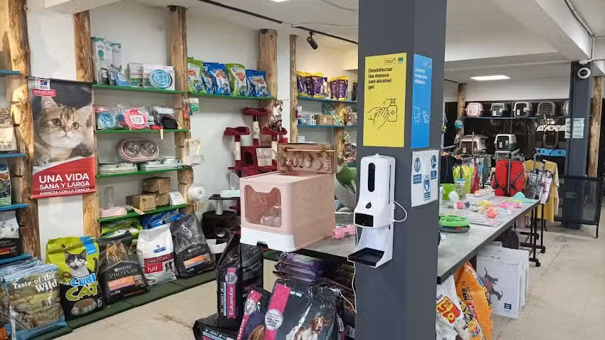 Mininos y mas &ndash; punto blue express