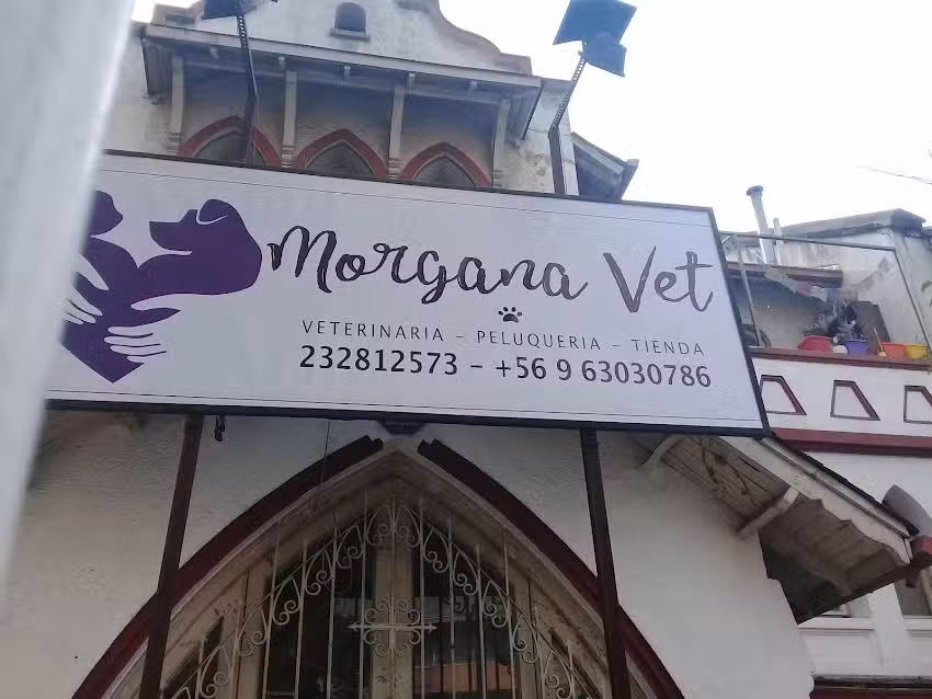 Morgana Vet