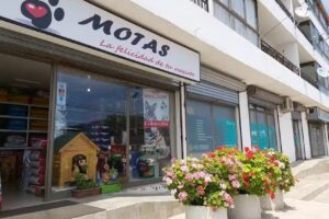 MOTAS La felicidad de tu mascota