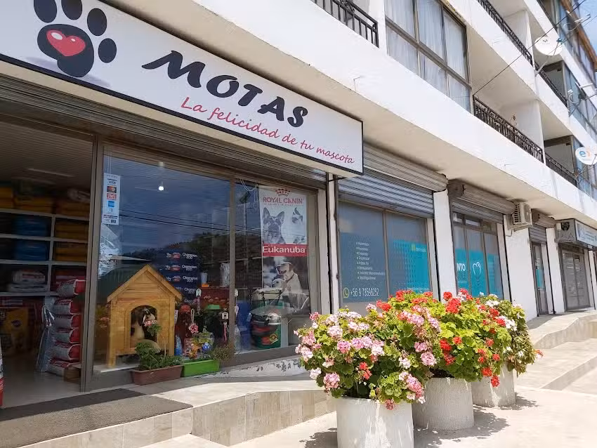 MOTAS La felicidad de tu mascota