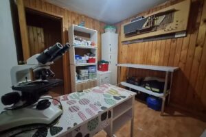 MóvilVet Veterinaria A Domicilio