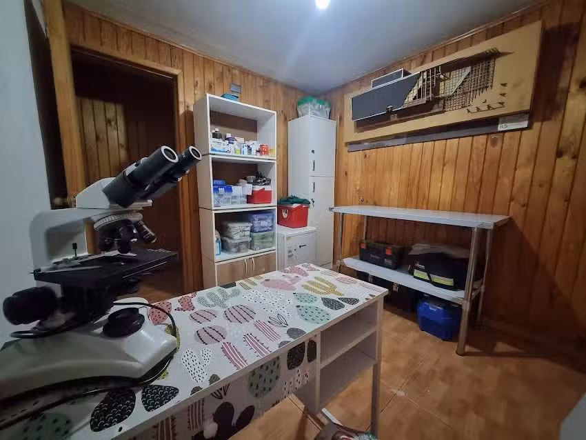 M&oacute;vilVet Veterinaria A Domicilio