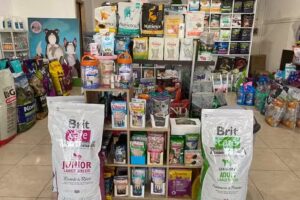 Mueve La Colita S&iacute;S&iacute;