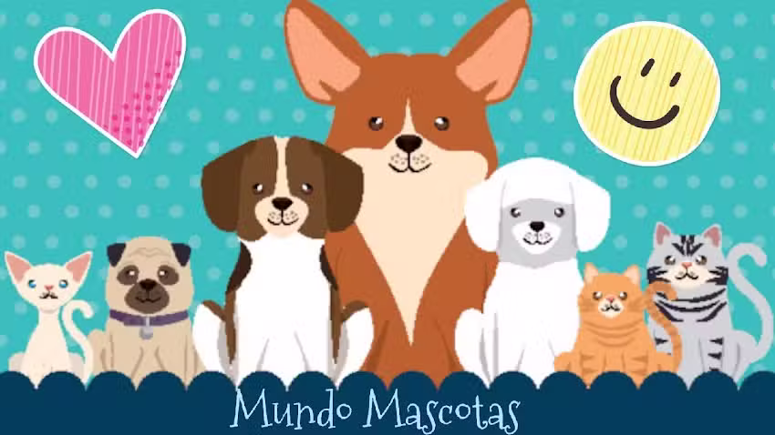 Mundo Mascotas