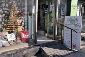 MundoAnimal Pets Perrukeria