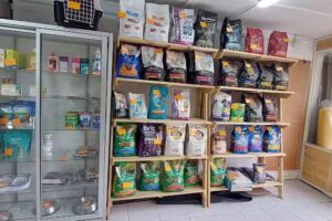 Olivier Pet Groomer Puente Alto