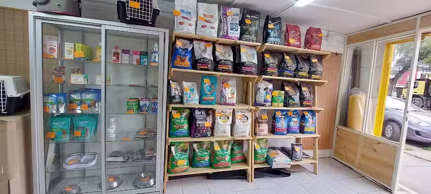 Olivier Pet Groomer Puente Alto