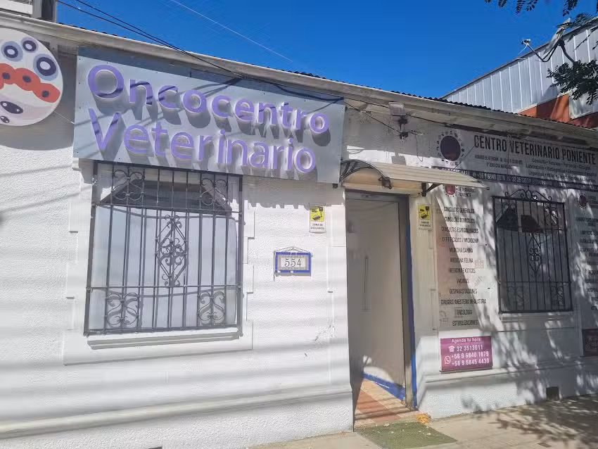 Oncocentro Veterinario