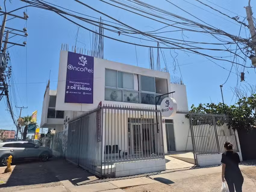 OncoPet &ndash; Cl&iacute;nica Veterinaria Oncol&oacute;gica