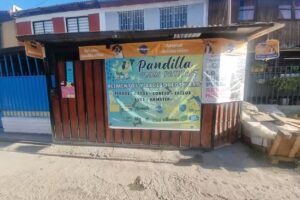 Pandilla plumipatita , punto blueexpress