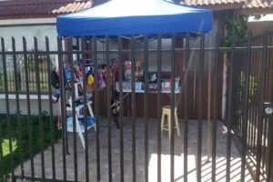 Pao Valladares Mascotas