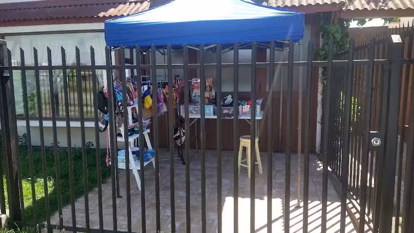 Pao Valladares Mascotas