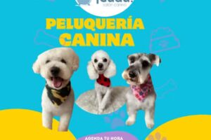 Patitas Gua&uuml; Sal&oacute;n Canino SPA