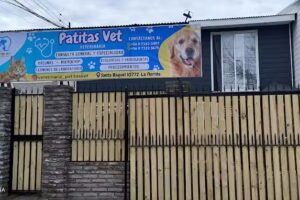 Patitas vet