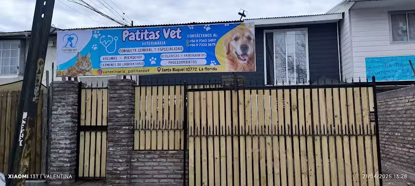 Patitas vet