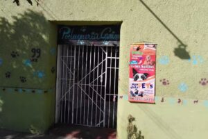 PeluCanes peluqueria canina