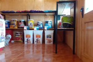 Peludos premium pets