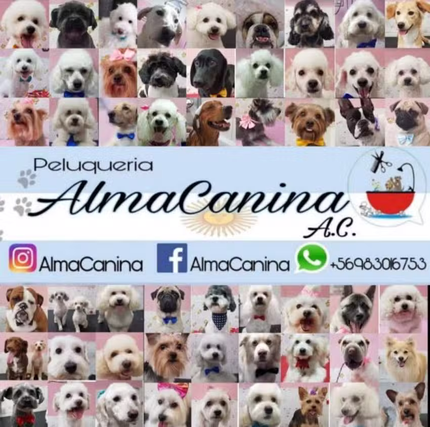 Peluquer&iacute;a Alma Canina