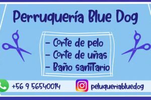 Peluquería canina Blue Dog