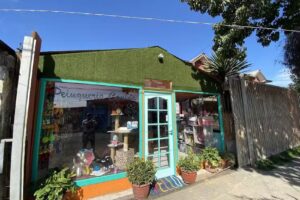 peluquería canina caniche Brothers